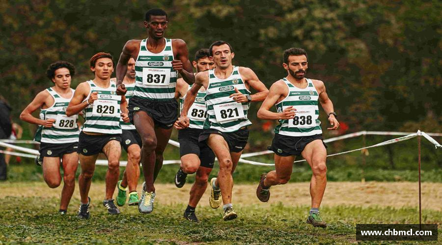 3377体育平台搏击激情，燃烧梦想！